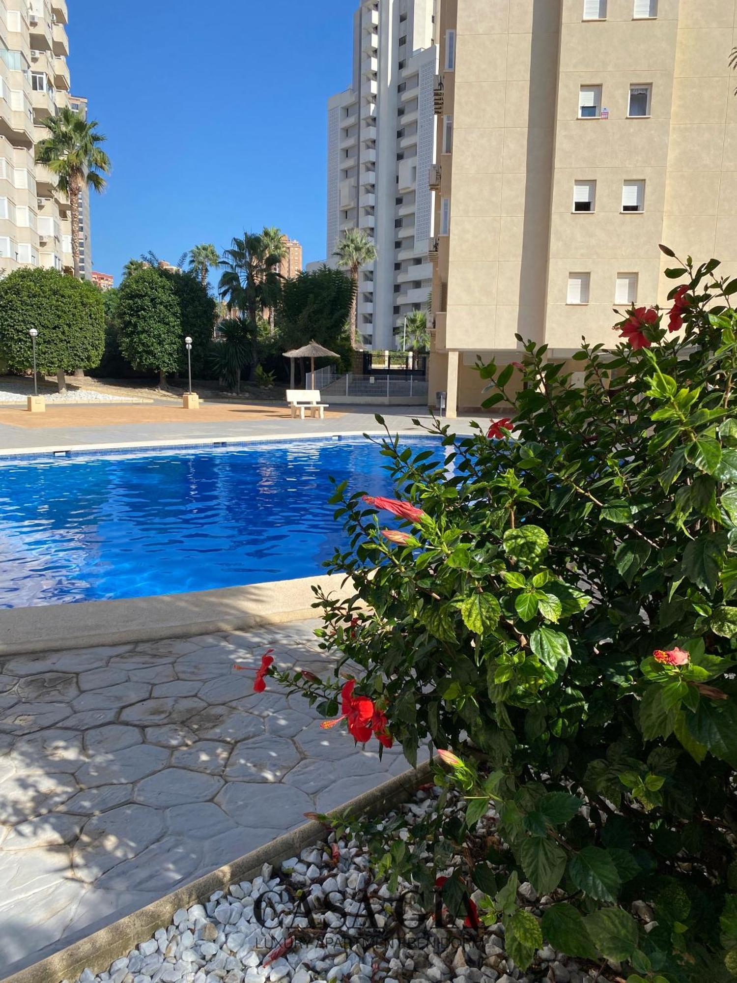 Casa Gia L Luxury Apartment Benidorm Eksteriør bilde